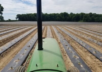 tractor in drip rows