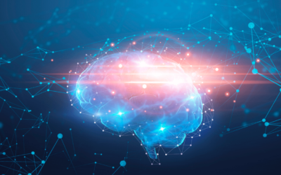 CBD Increases Blood Flow to the Hippocampus and May Improve Memory