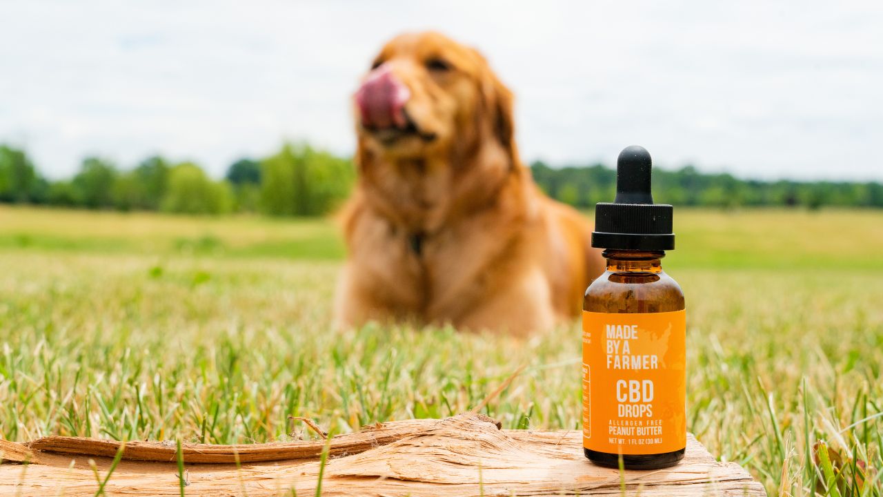 Peanut Butter CBD Pet Tincture - Image 8
