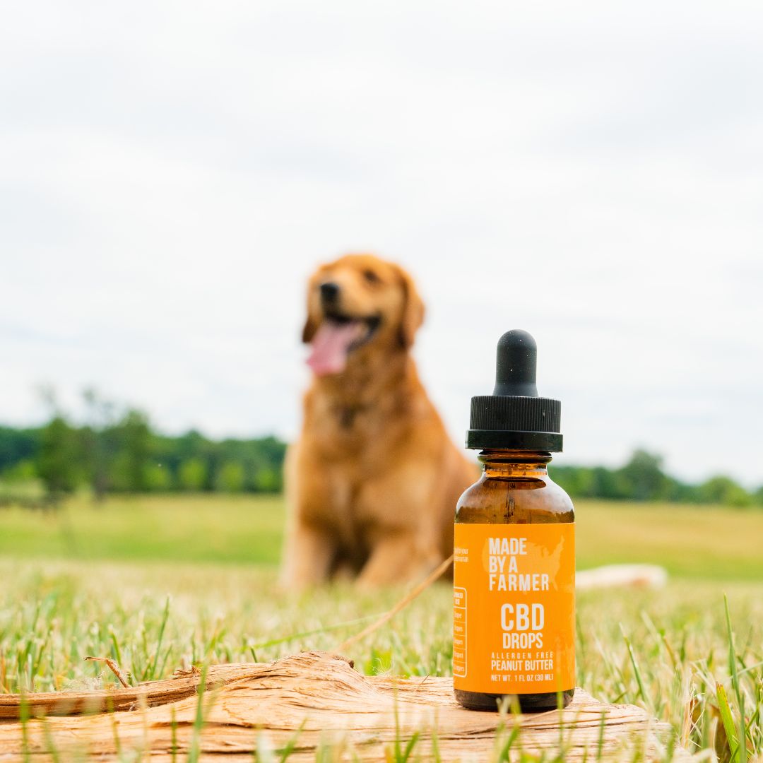 Peanut Butter CBD Pet Tincture - Image 7
