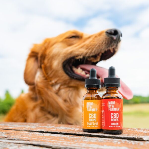 Peanut Butter CBD Pet Tincture - Image 6