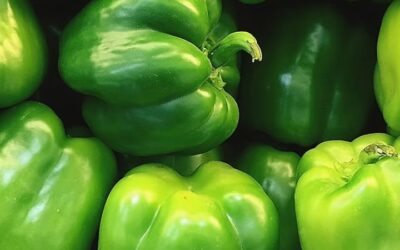 SUMMERTIME – Fresh Produce from Our Farm is Locally Available